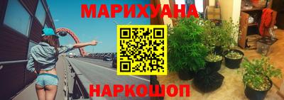 крисы Кимры