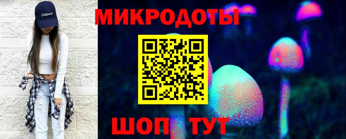 Псилоцибиновые грибы прущие грибы Хасавюрт