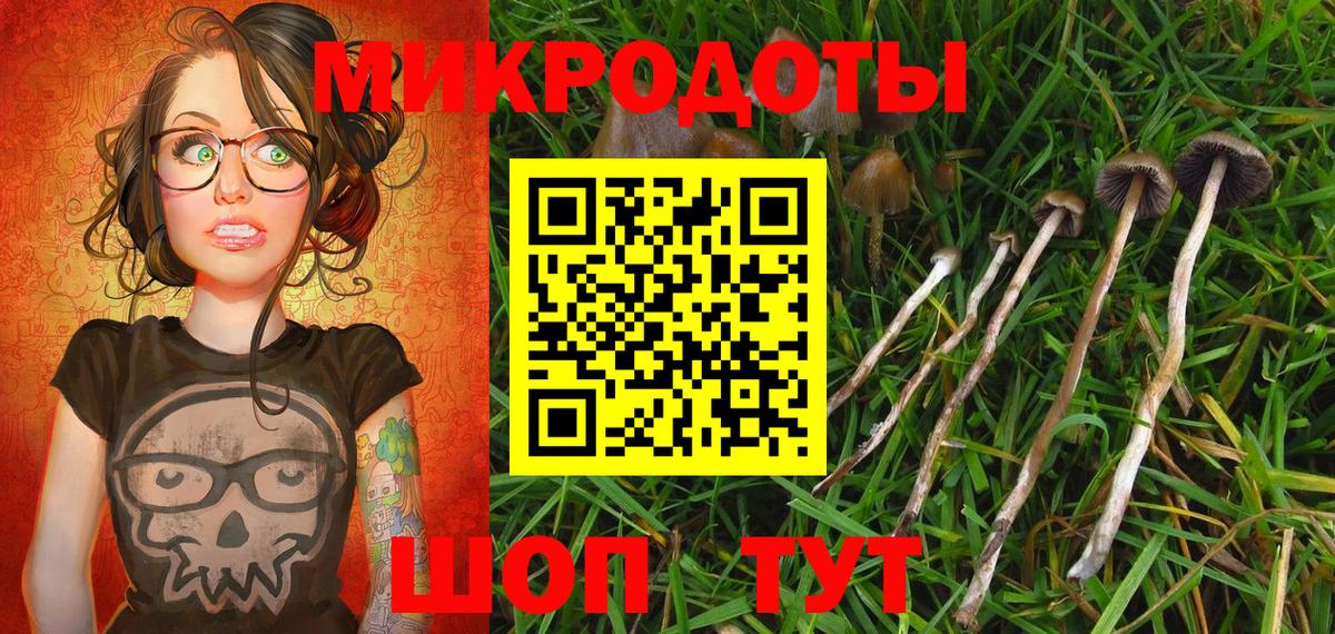 купить наркоту  Галлюциногенные грибы Psilocybine cubensis  Вход с VPN  Хасавюрт 